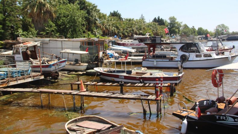 İzmit Körfezi’nde Denizin Rengi Değişti