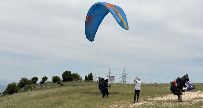 Kahramanmaraş’tan Şanlıurfa’ya 238 kilometre uçtu: Viranşehir’de bir tarlaya indi