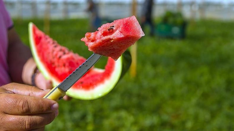 Karpuz bile masum değil: Yanında tüketilmesi gereken ürünü açıkladı