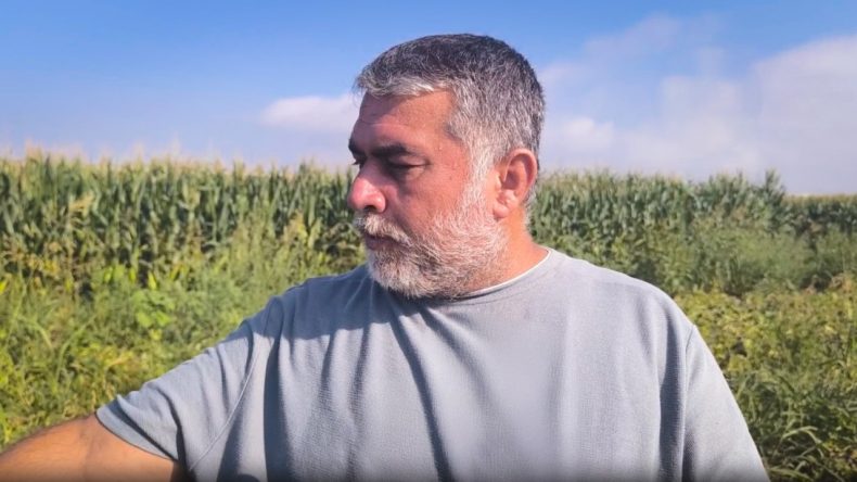 Karpuz Üreticisi Isyan Etti: "20 TL'ye Satılan Karpuz, Tarlada 2 TL'ye Kalıyor"