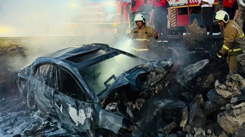 Kayaya Çarpan Otomobil Alev Aldı, Sürücü Hayatını Kaybetti