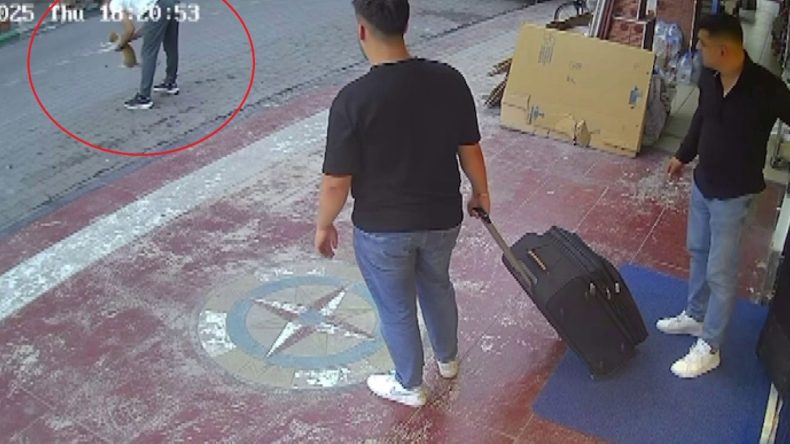 Kediyi Heimlich Manevrasıyla Hayata Döndürdü