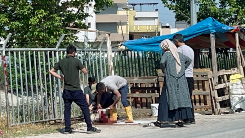 Kentte Usulsüz Kurban Kesimi Artıyor!