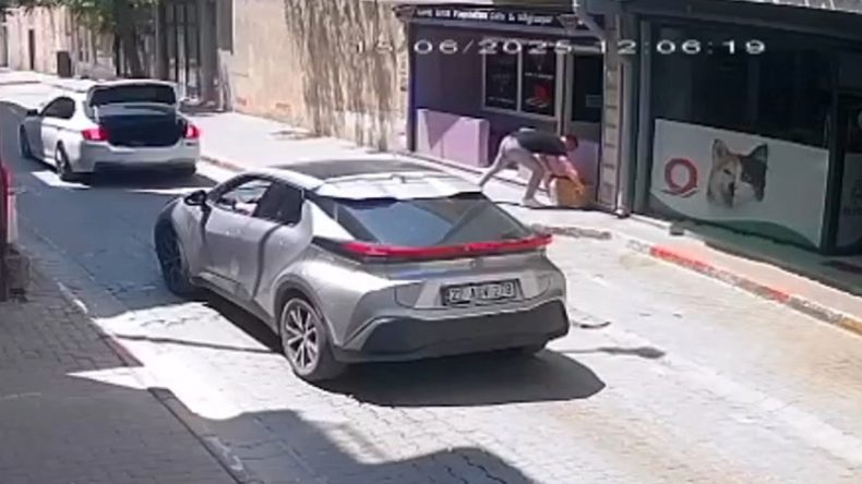 Köpeği Güneşin Altında Terk Ettiler