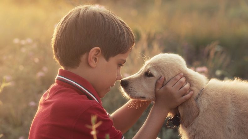 Köpekler ve Çocuklar: Sağlık Üzerindeki Olumlu Etkileri Ortaya Çıktı