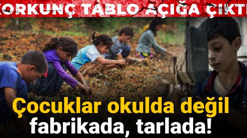 Korkunç tablo açığa çıktı! Çocuklar okulda değil fabrikada, tarlada
