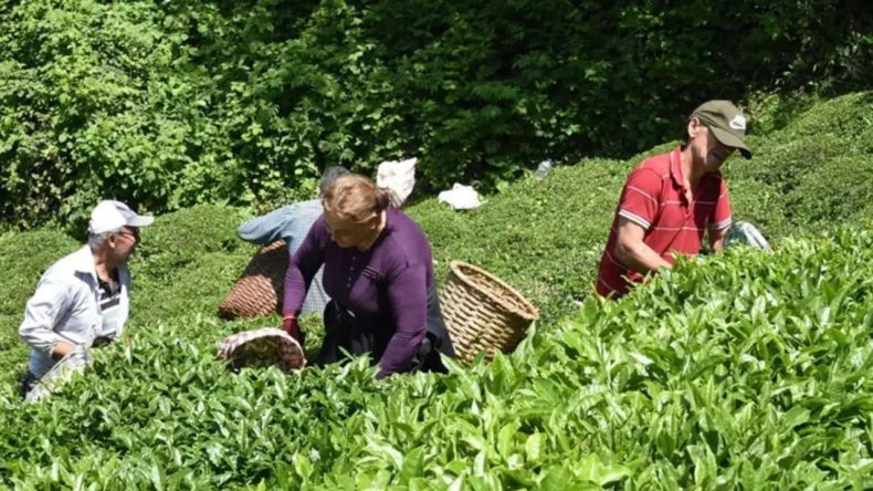 ‘Kötü günler bizi bekliyor’ deyip ekledi: ‘Zararın neresinden dönülse kâr’