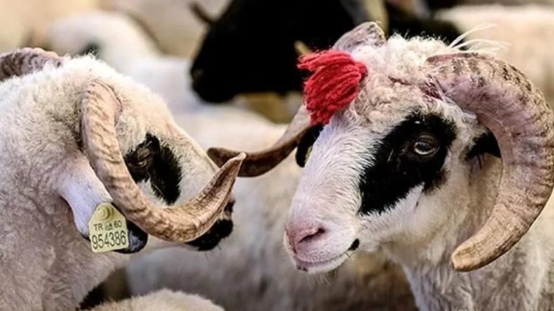 Kurban Bayramı’nda Güvenlik Tedbirleri Artırıldı: Resmi Açıklama