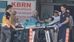 Kurban Kesimi Sırasında Bıçağın Üzerine Düşen Çınar Ağır Yaralandı