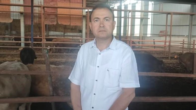 Kurbanlık Dana, Satıcıyı Hayatından Etti
