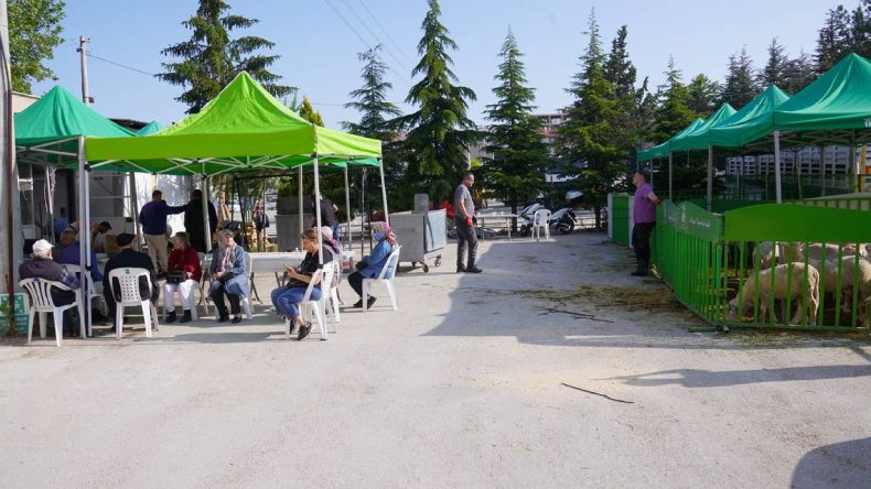 Kurbanlıklar İhtiyaç Sahipleri İçin Kesildi