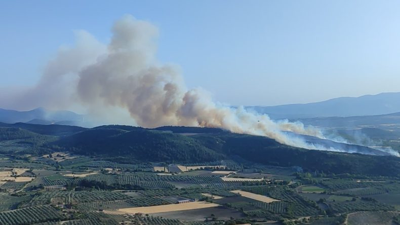 Manisa Kırkağaç’ta Orman Yangını