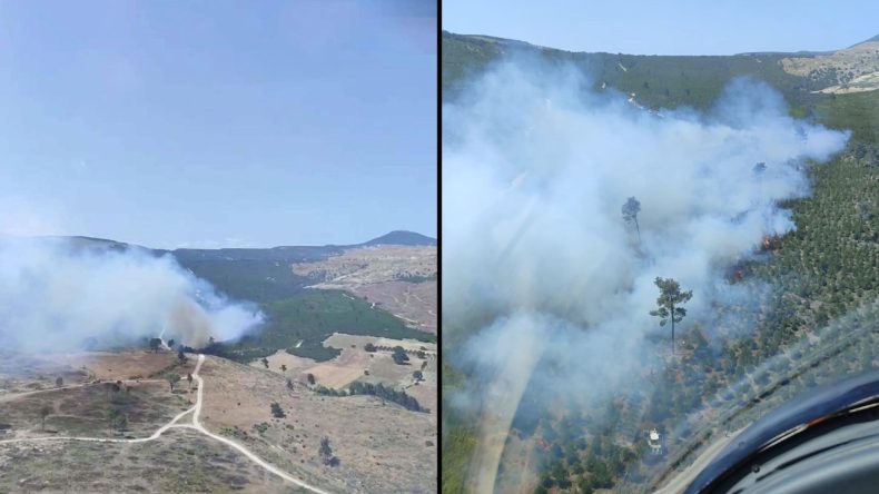 Manisa’da Orman Yangını Çıktı