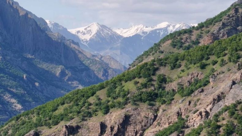 Mantar Toplama Sırasında Kaybolan Adamın Cansız Bedeni Bulundu