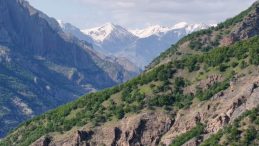 Mantar Toplarken Kaybolan Kişinin Cansız Bedeni Bulundu