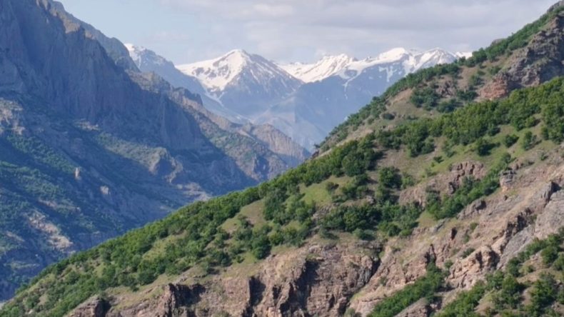 Mantar Toplarken Kaybolan Kişinin Cansız Bedeni Bulundu