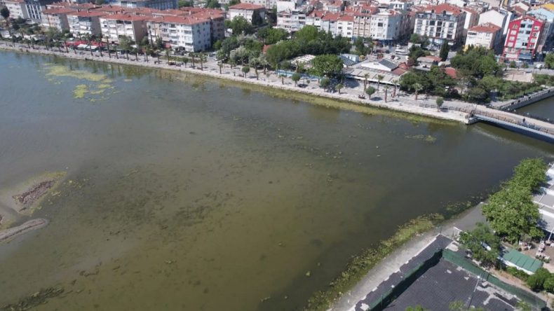 Marmara Denizi’nde Son Durum: Yeşil Renk Alarmı