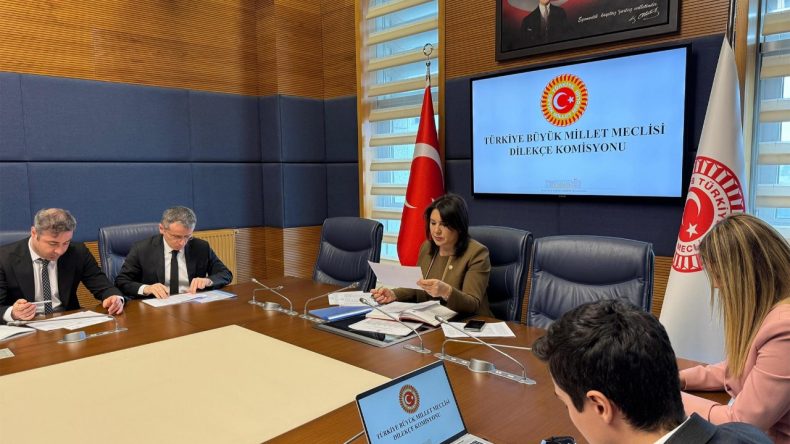 Meclis’e Dilekçe Sunan Vatandaş: Vicdan Azabı Çekiyorum, Beni Yargılayın