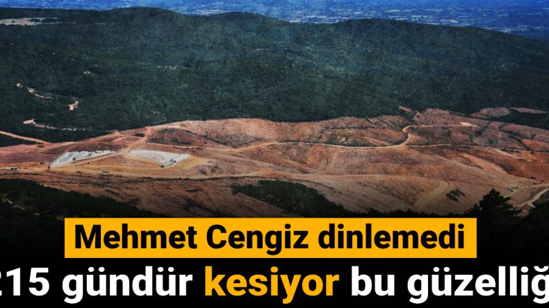 Mehmet Cengiz İhtiyacı Dinlemedi: 215 Gündür Bu Güzelliği Yok Ediyor