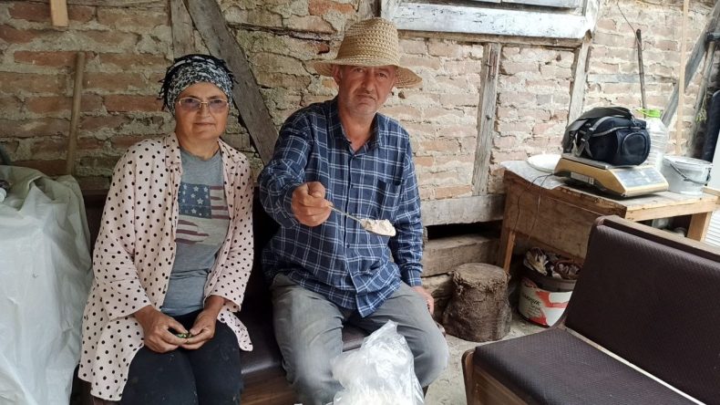 Memlekete döndüler, 10 dönümlük arazide yetiştiriyorlar: ‘Talep çok yüksek’