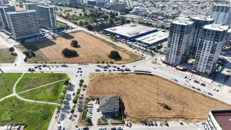Milyon Dolarlık Gökdelenlerin Tam Ortasında Hasat Gerçekleştiriliyor