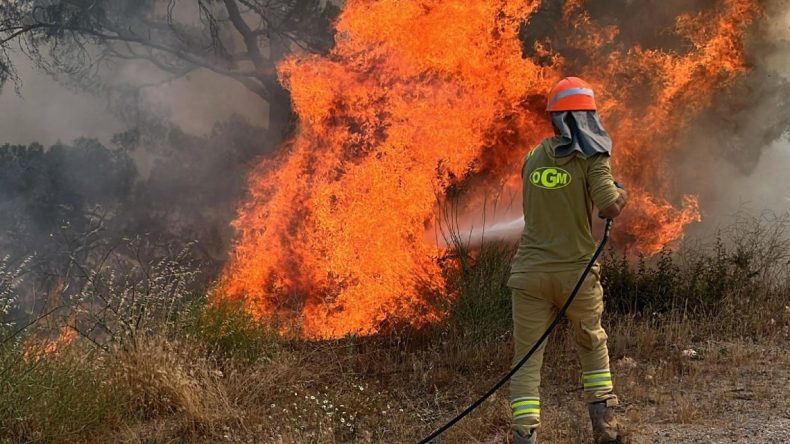 Muğla'da orman yangını: 2 hektarlık alan zarar gördü