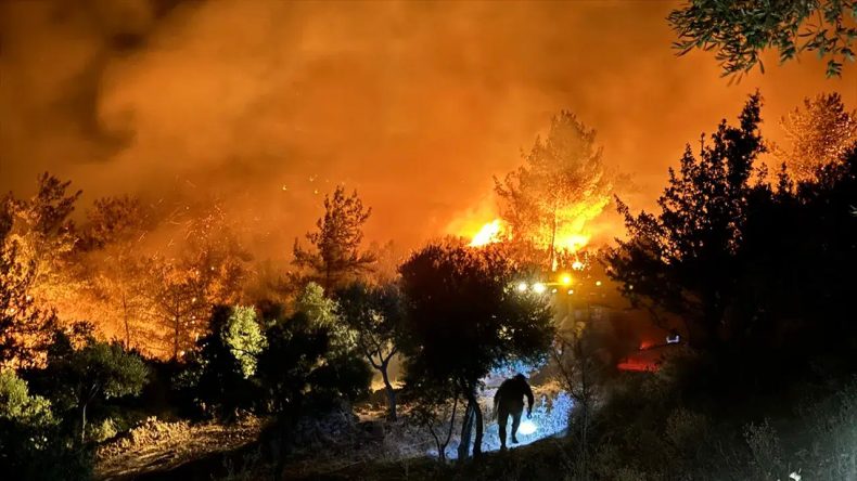 Muğla’da 2025 Yılında 53 Orman Ve 23 Ziraat Yangını Gerçekleşti