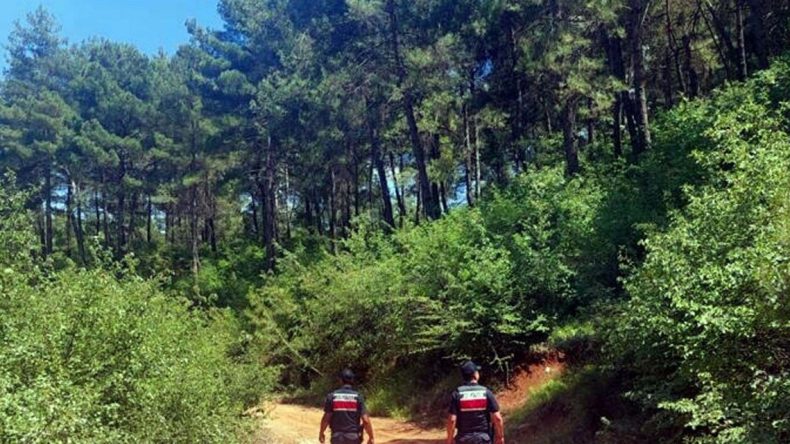 Muğla’da Ormanlara Girişin Yasaklandığı Tarihler Belli Oldu