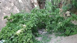 Okul gezisinde trajedi: Çok sayıda öğrenci yaralandı