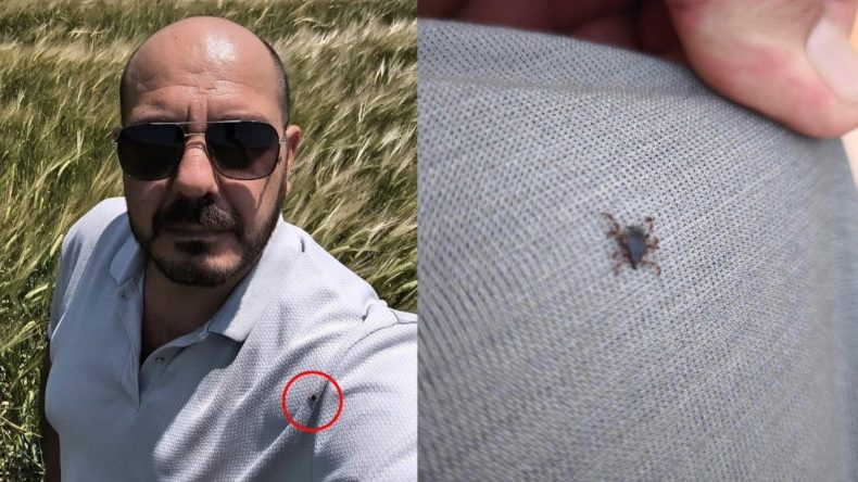 Ölüm Saçıyor! Selfie Çekerken Üzerinde Keneleri Fark Etti