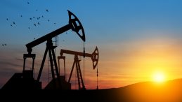 OPEC: Petrol Piyasasında Müdahaleye Gerek Yok
