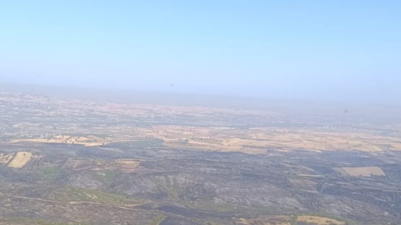 Orman Yangını İkinci Günde Kontrol Altına Alındı: Beş Kişi Gözaltında