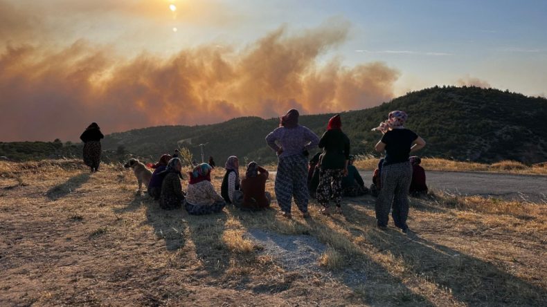 Orman Yangınları Nedeniyle 17 Gözaltı