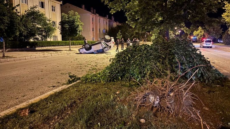 Otomobil, Ağaçla Çarpıp Takla Attı