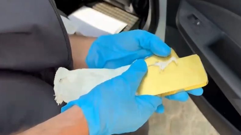 Otomobilden 7 Külçe Altın Çıktı
