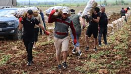 Patates Yükleyerek Aylık 100 Bin TL Kazanıyorlar