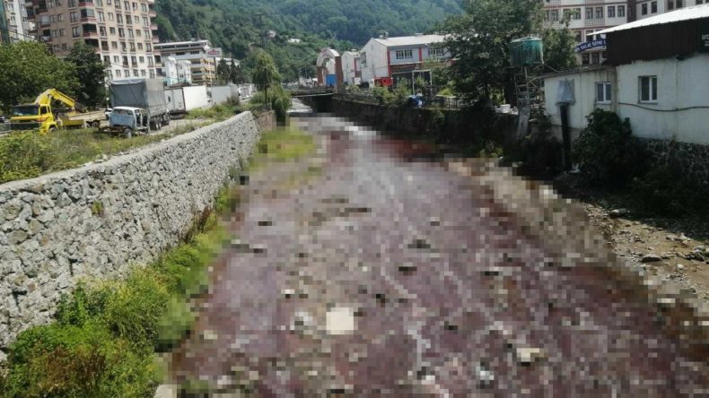 Rize’de Tepki Çeken Görüntü
