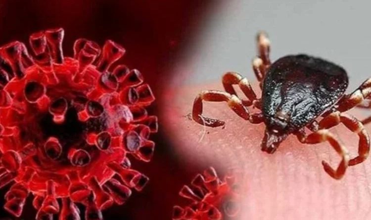 Sağlık Bakanlığı’ndan Uyarı: Keneden Bulaşan KKKA Hastalığı Bir Can Daha Aldı