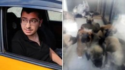 Sahiplendi, işkence etti, öldürdü! Cani doktorun telefonundan 43 bin müstehcen görüntü çıktı