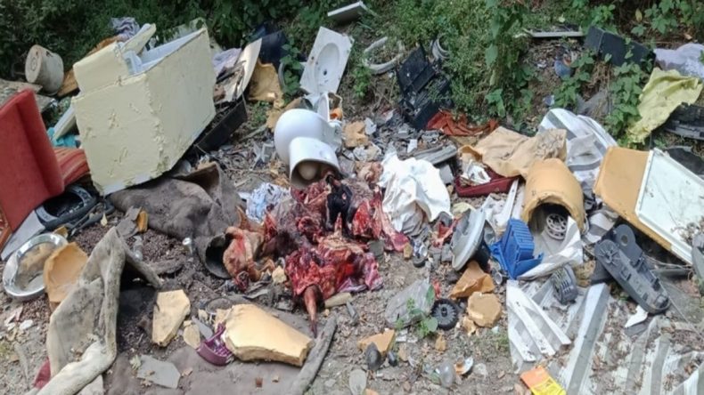 Sakarya Ormanlarında Kurban Atığı Kirliliği