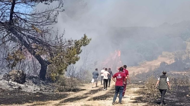 Semaver Kullanırken Ormanı Yakan Kadın Ev Hapsine Alındı