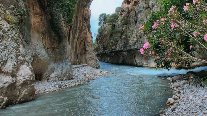 Sıcaktan Bunalıp Akın Etmeye Devam Ettiler: Uzun Kuyruklar Oluştu