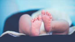 Sığınma Evinde Yüzlerce Bebek Cenazesi Araştırılacak