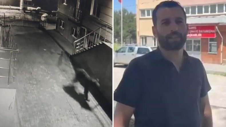 Siteye Giren Boz Ayı, Sakinleri Peşinden Koşturdu