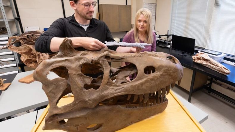 Soyağacını Yeniden Yazacak Keşif: T.rex’in Atası ‘Ejderha Prensi’