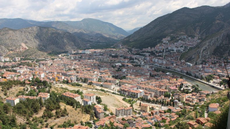 Tarım alanlarını samuray arılar koruyacak: 3 bin tane salındı