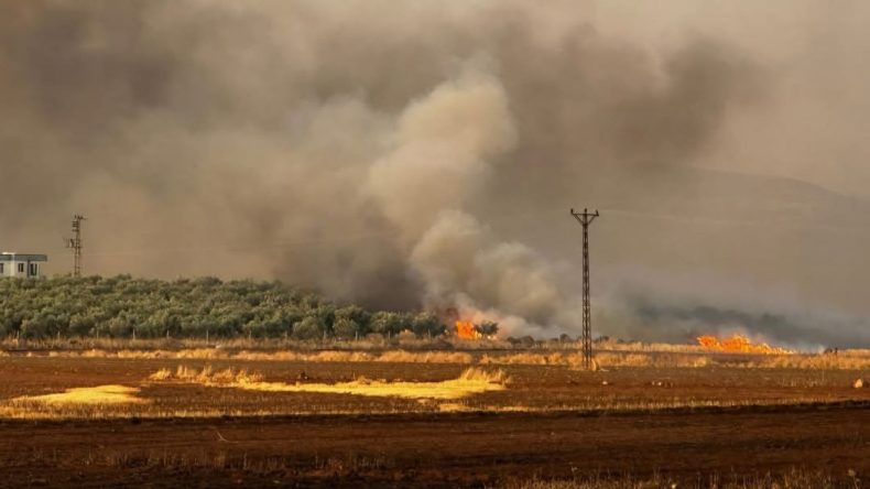 Tarlada büyük yangın: Çok sayıda hayvan telef oldu