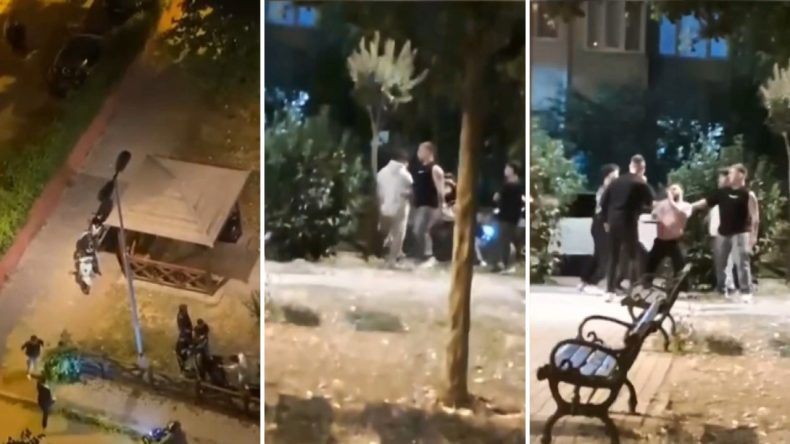 Tekmeler, Yumruklar Havadar: Parkta Korkutucu Kavga
