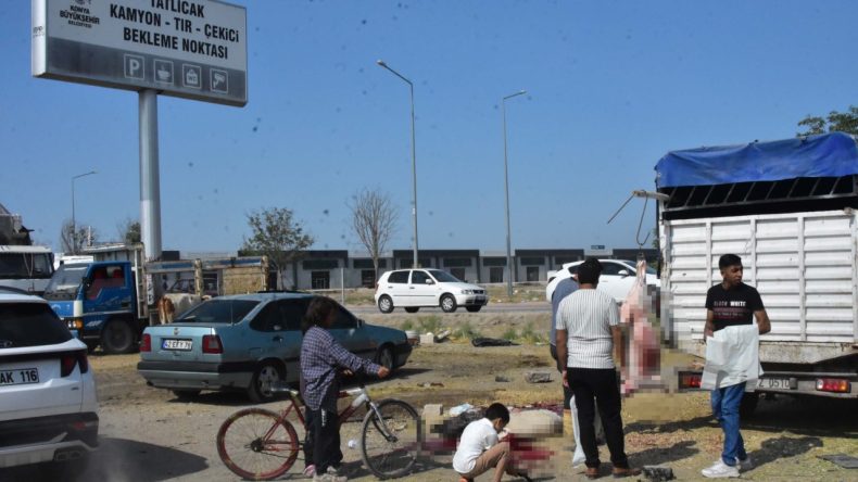 TIR Parkında Kaçak Kurban Pazarı: Hijyen Kuralları İhlal Edildi