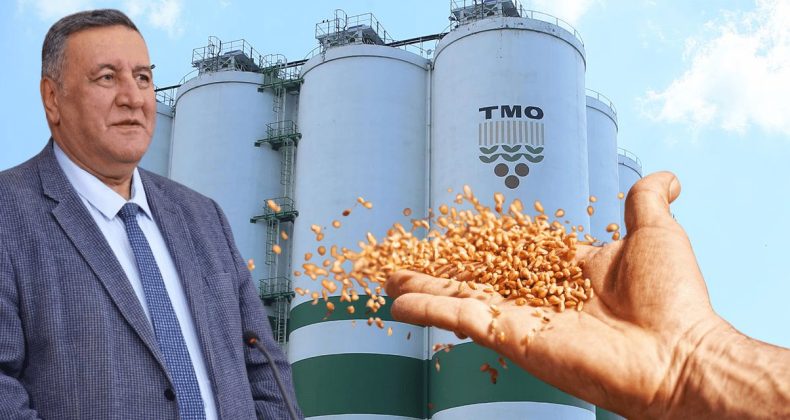 TMO’nun buğday alım fiyatlarına Gürer’den tepki: “13 lira verilmesi ‘bu işi yapma’ demektir”